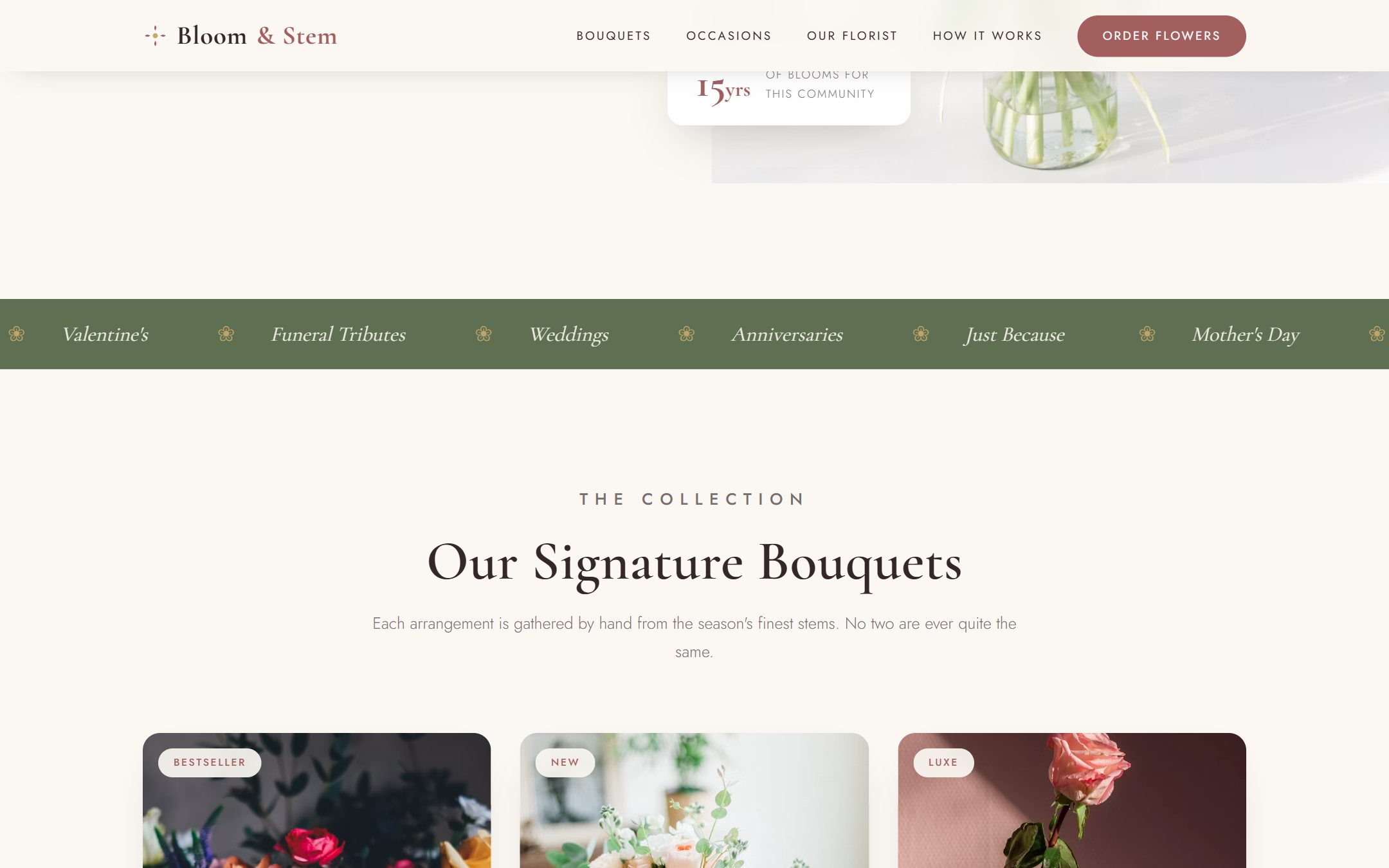 Bloom & Stem — section